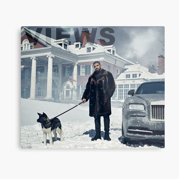 Drake with Dog Views Tapestry Metal Print