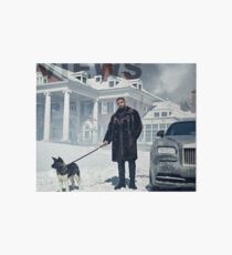 Lámina rígida Drake con el tapiz de vistas de perro