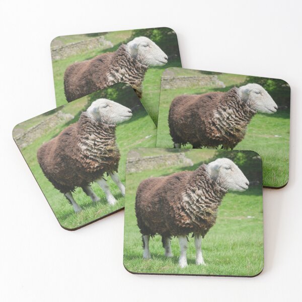 Item preview, Herdwick Sheep on a grassy fell in Cumbria England designed and sold by GeoffBeattie.