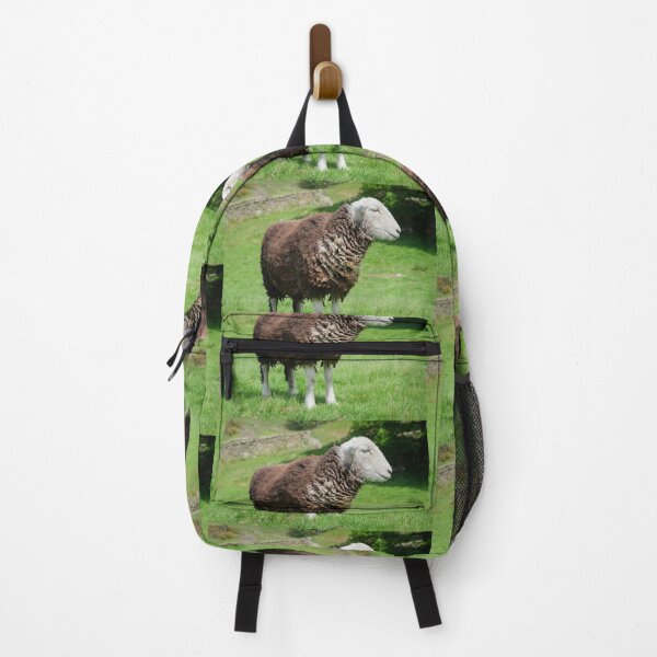 Item preview, Herdwick Sheep on a grassy fell in Cumbria England designed and sold by GeoffBeattie.