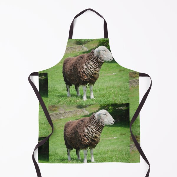 Item preview, Herdwick Sheep on a grassy fell in Cumbria England designed and sold by GeoffBeattie.