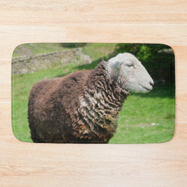 Item preview, Herdwick Sheep on a grassy fell in Cumbria England designed and sold by GeoffBeattie.