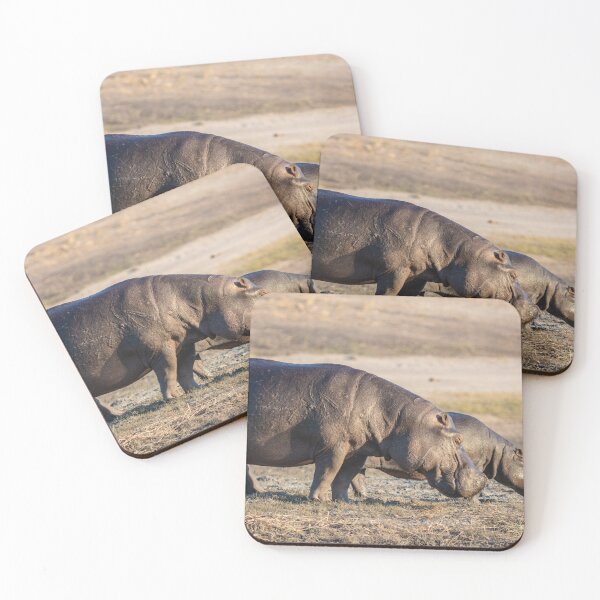 Item preview, Hippopotamus designed and sold by KNBS.