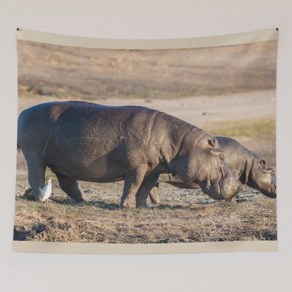 Item preview, Hippopotamus designed and sold by KNBS.