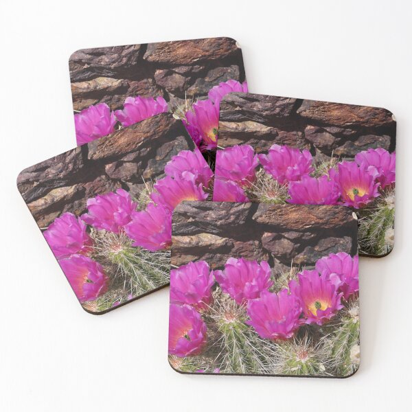 Item preview, Scarlet Hedgehog Cactus - Arizona designed and sold by Bloom-N-Blossom.