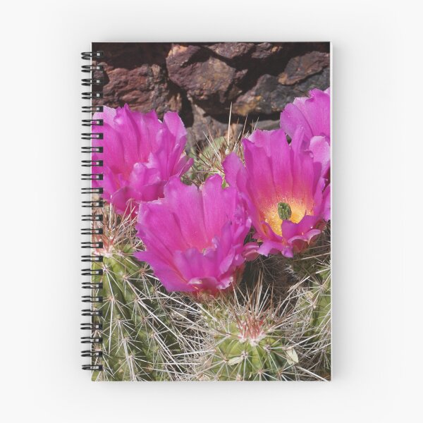 Item preview, Scarlet Hedgehog Cactus - Arizona designed and sold by Bloom-N-Blossom.