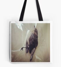Yellow Rumped Warbler Tote Bag