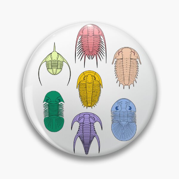 Item preview, Color trilobites designed and sold by PaleoInvert.