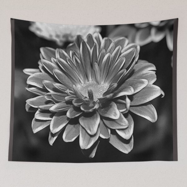 Item preview, BURSTING BW designed and sold by BOLLA67.