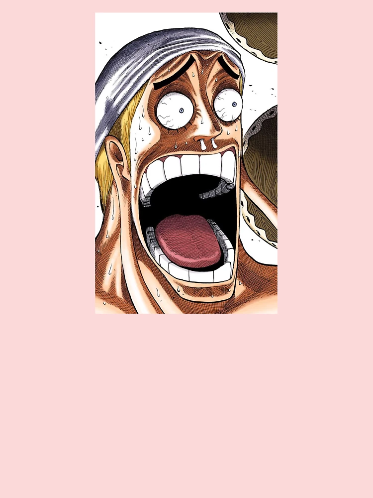 The Enel Face BROKE One Piece 