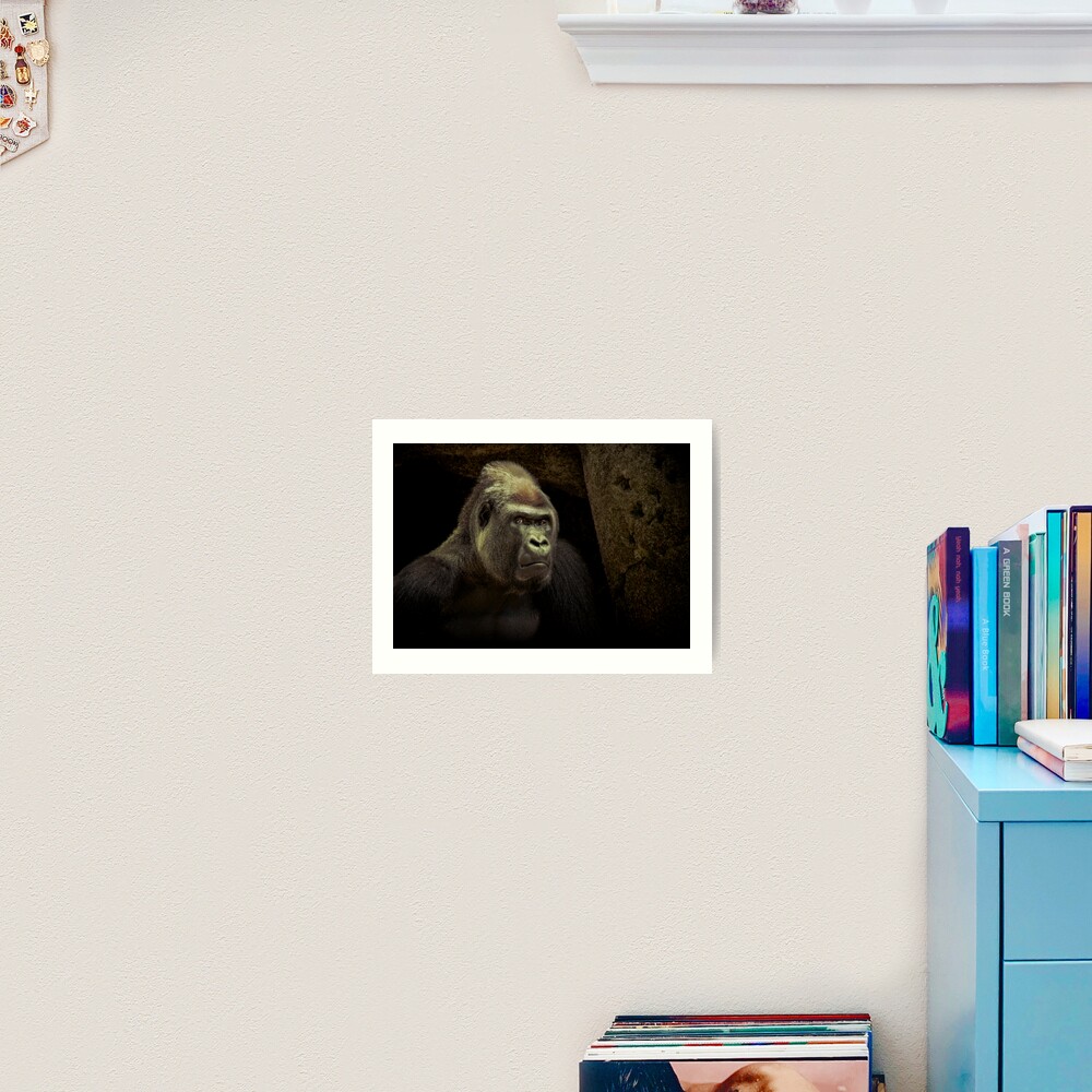 Silverback Art Print