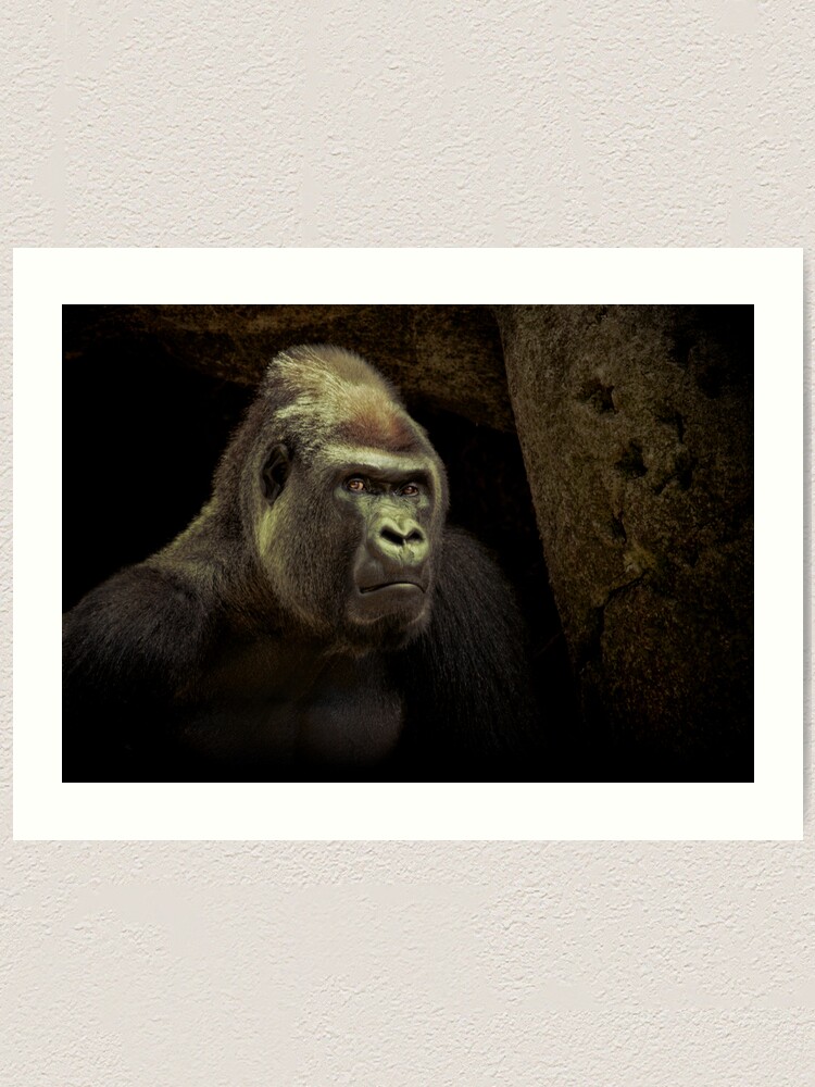 Alternate view of Silverback Art Print