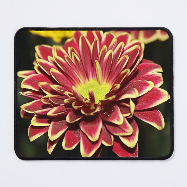 Item preview, BURSTING designed and sold by BOLLA67.