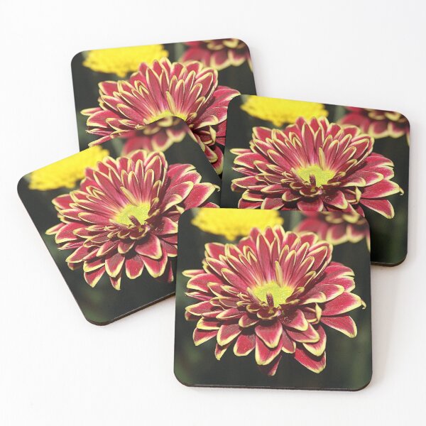 Item preview, BURSTING designed and sold by BOLLA67.