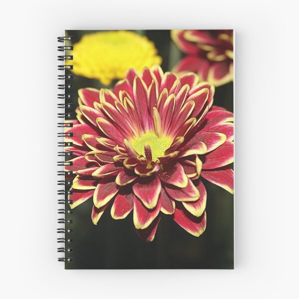 Item preview, BURSTING designed and sold by BOLLA67.