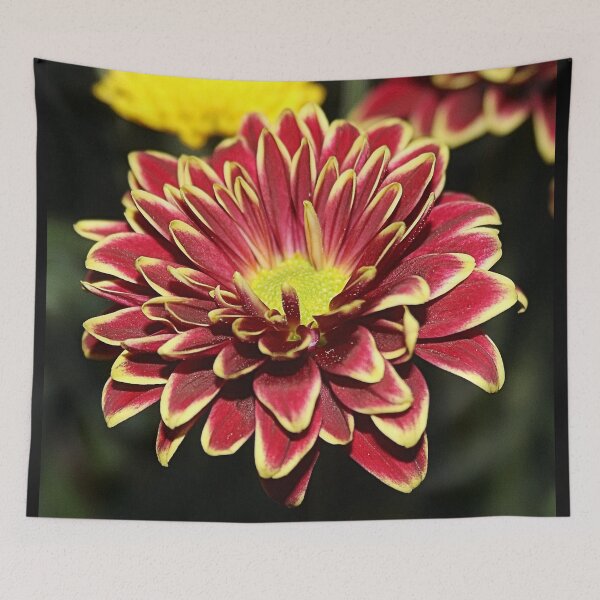 Item preview, BURSTING designed and sold by BOLLA67.