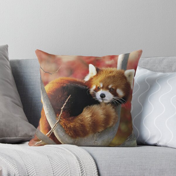Vista previa del artículo con la obra «Panda rojo», diseñado y vendido por Sandy Strunk.