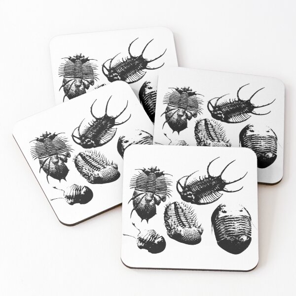 Item preview, Fossil trilobites designed and sold by PaleoInvert.