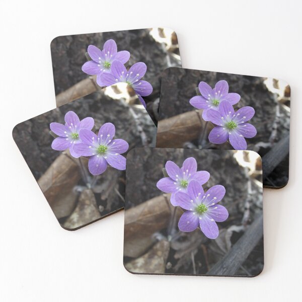 Item preview, Spring Wildflower designed and sold by bhagenson.