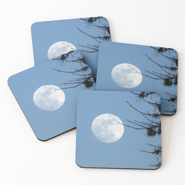 Artikelvorschau, Full Moon Rising entworfen und verkauft von bhagenson.