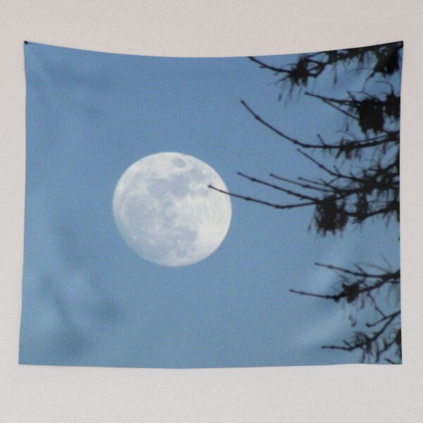 Artikelvorschau, Full Moon Rising entworfen und verkauft von bhagenson.