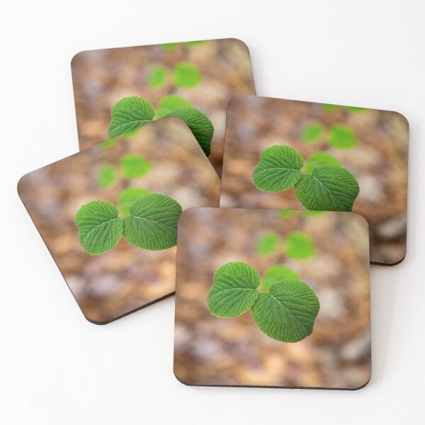 Item preview, Leaf Ladder designed and sold by Daniel's Destinations.