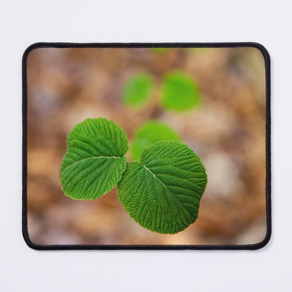 Item preview, Leaf Ladder designed and sold by Daniel's Destinations.