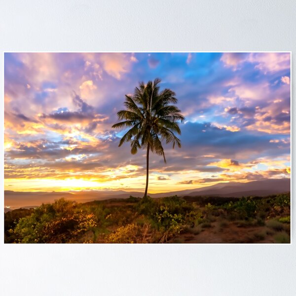 Palm tree mountain view sunset art