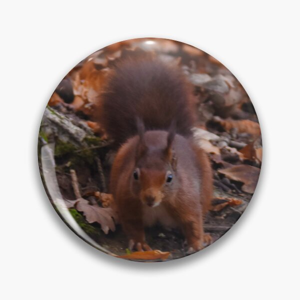Item preview, Hunting Red  designed and sold by TheoPhotoraphy.