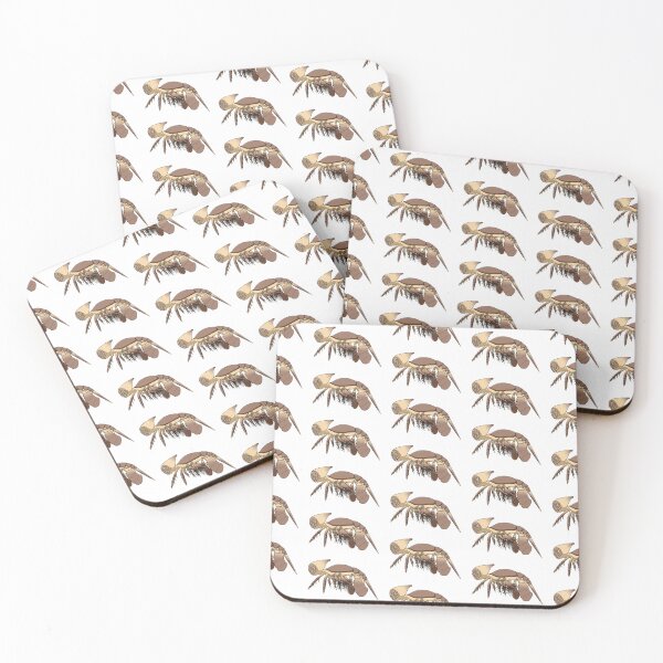 Item preview, Cambropachycope designed and sold by PaleoInvert.
