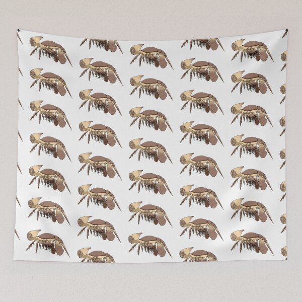 Item preview, Cambropachycope designed and sold by PaleoInvert.
