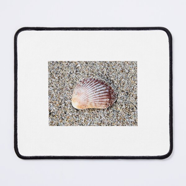 Item preview, Beautiful shell on a sandy beach designed and sold by djsfoto.