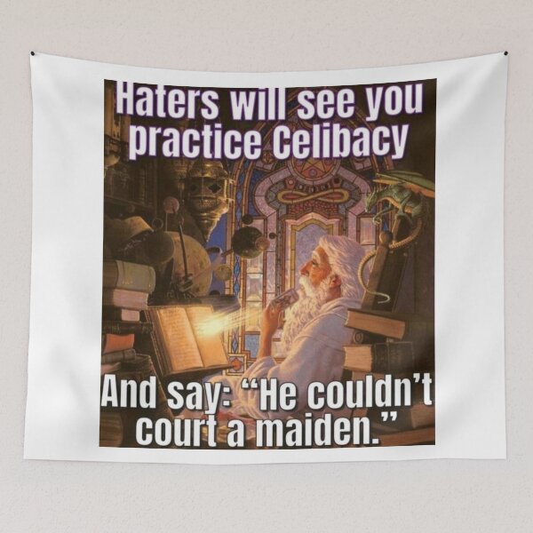 Item preview, Haters will see you practice celibacy and say: "He couldn't court a maiden." designed and sold by Greg Heffley.