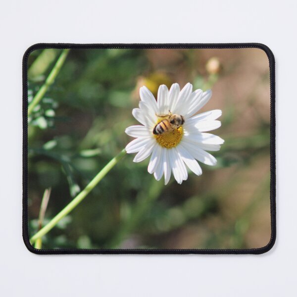 Item preview, Bee grabbing some lunch designed and sold by djsfoto.