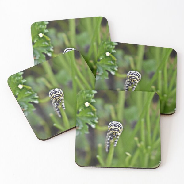 Item preview, Swallowtail Caterpillar designed and sold by athousandwordss.
