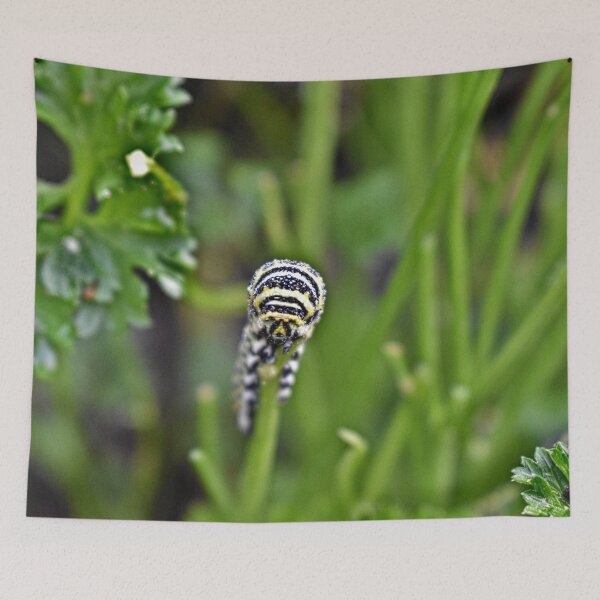Item preview, Swallowtail Caterpillar designed and sold by athousandwordss.