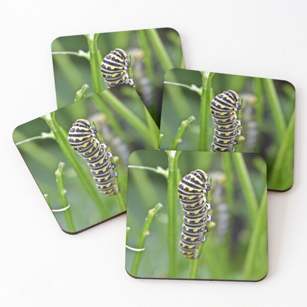 Item preview, Swallowtail Caterpillar designed and sold by athousandwordss.