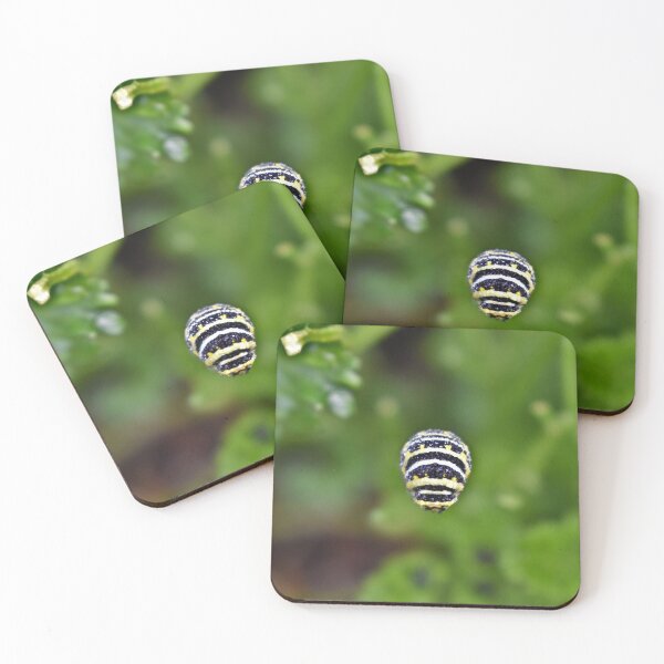 Item preview, Swallowtail Caterpillar designed and sold by athousandwordss.