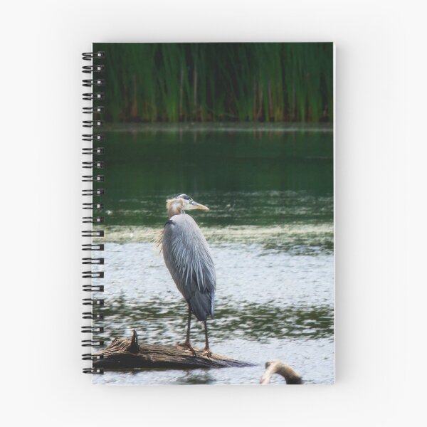Item preview, Heron with Ruffled Feathers designed and sold by irishmurr.