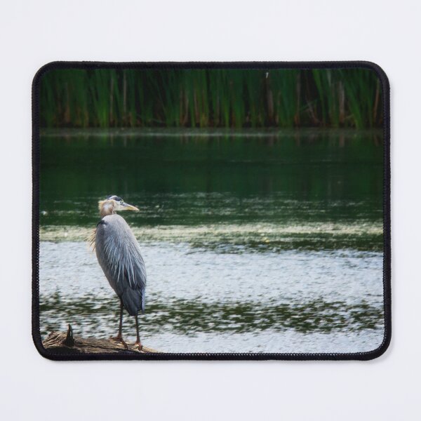 Item preview, Heron with Ruffled Feathers designed and sold by irishmurr.