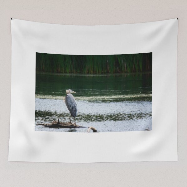 Item preview, Heron with Ruffled Feathers designed and sold by irishmurr.