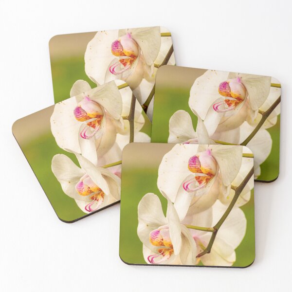 Item preview, Natures FLOWERS GARDENING FAMILY, MOM DAD, GIFT designed and sold by carlos crane.