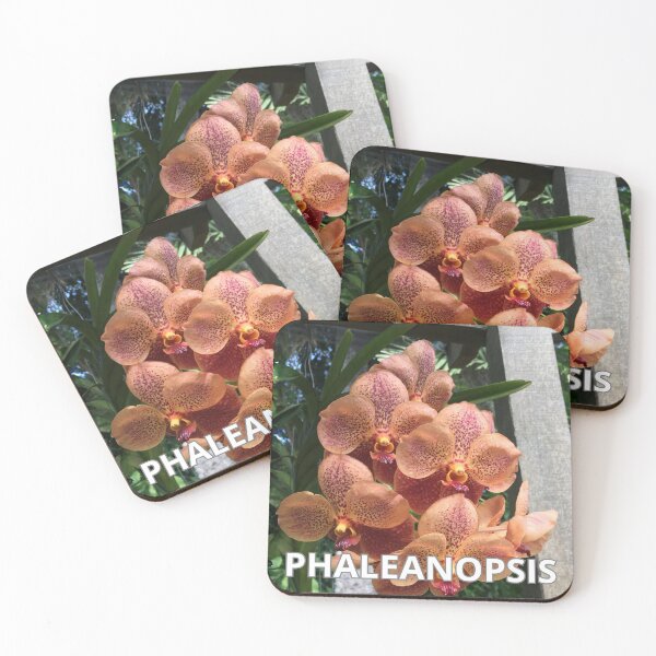 Item preview, Natures  Paleanopsis FLOWERS GARDENING FAMILY, MOM DAD, GIFT designed and sold by carlos crane.