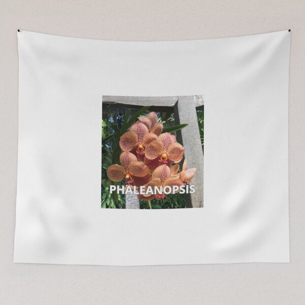 Item preview, Natures  Paleanopsis FLOWERS GARDENING FAMILY, MOM DAD, GIFT designed and sold by carlos crane.