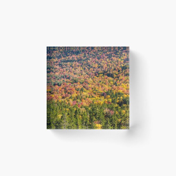 Item preview, Hedgehog Autumn designed and sold by Daniel's Destinations.