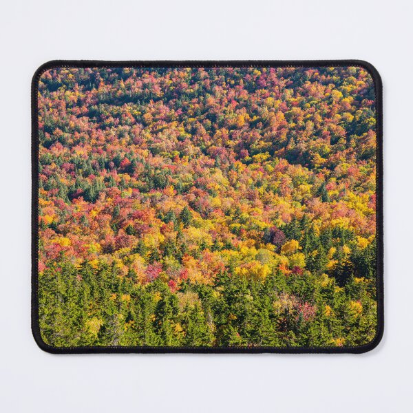 Item preview, Hedgehog Autumn designed and sold by Daniel's Destinations.