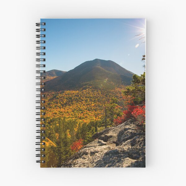 Item preview, Hedgehog Autumn View 2 designed and sold by Daniel's Destinations.