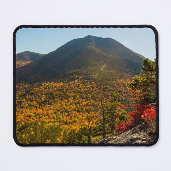 Item preview, Hedgehog Autumn View 2 designed and sold by Daniel's Destinations.