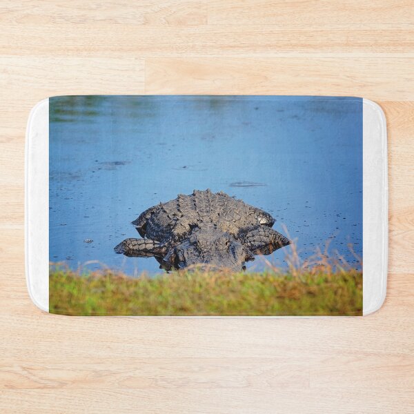 Item preview, Playing Peek-a-Boo with an Alligator designed and sold by irishmurr.