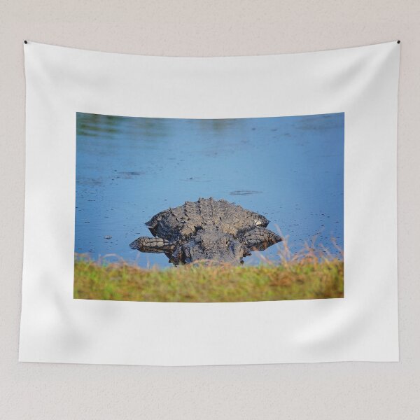 Item preview, Playing Peek-a-Boo with an Alligator designed and sold by irishmurr.